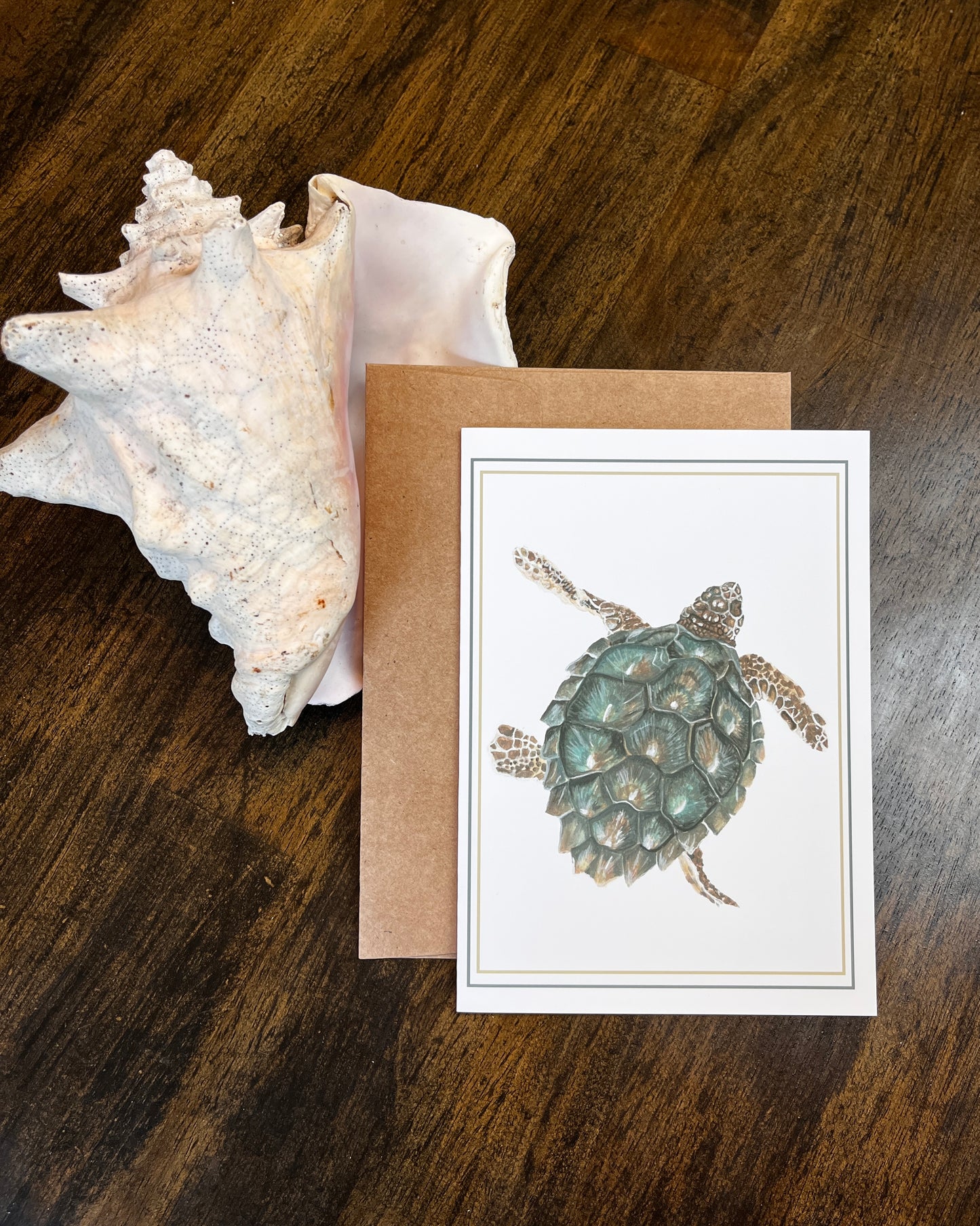 "Tybee Turtle” Note Card with Envelope, Accessories, Stationary Set