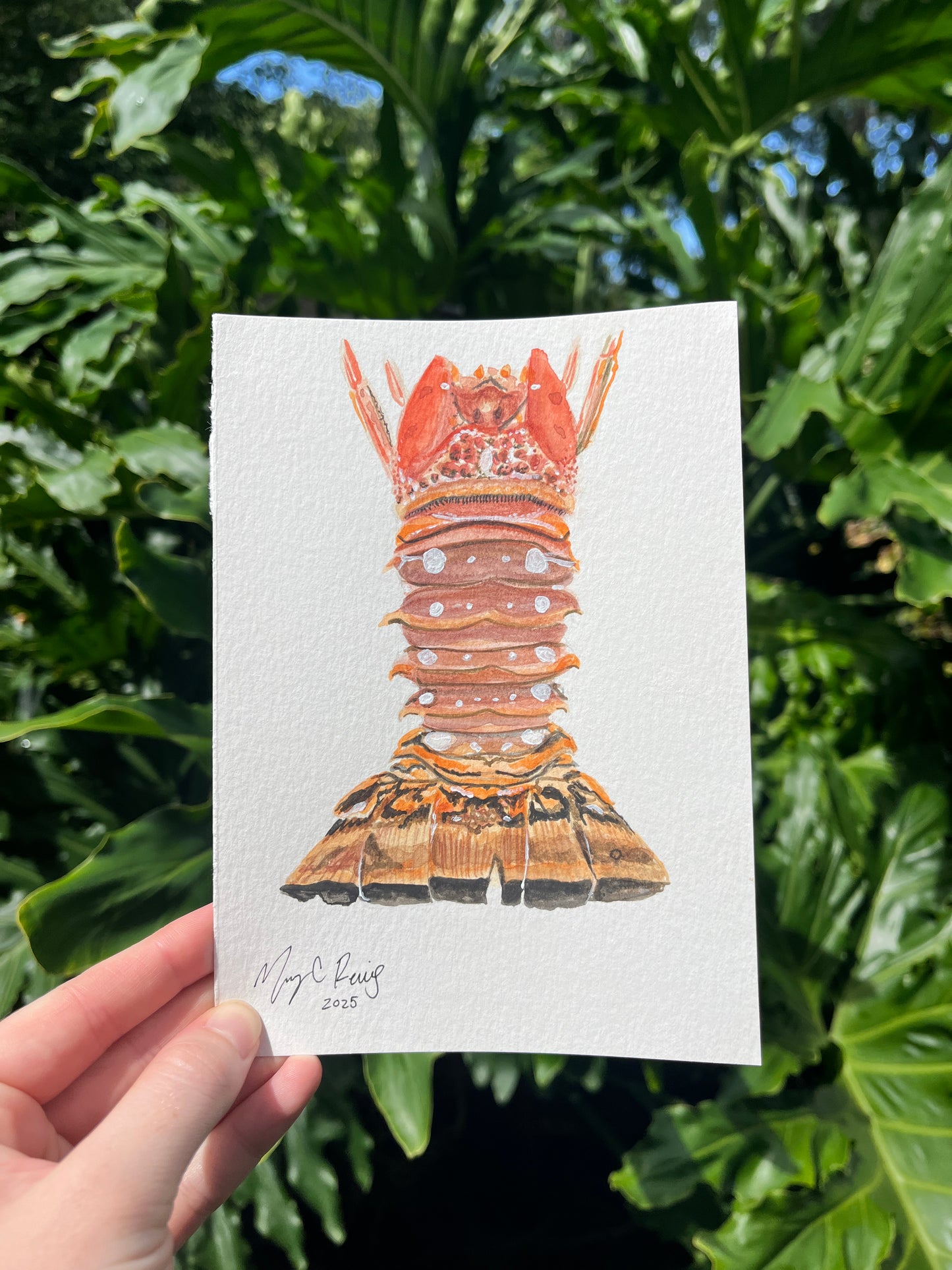 “Summer Trophy ” Original Watercolor on Paper