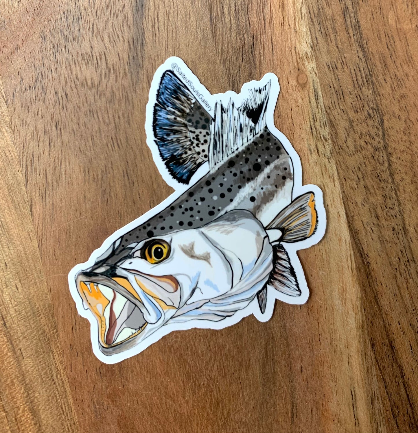 Speckled Trout Sticker, Accessories