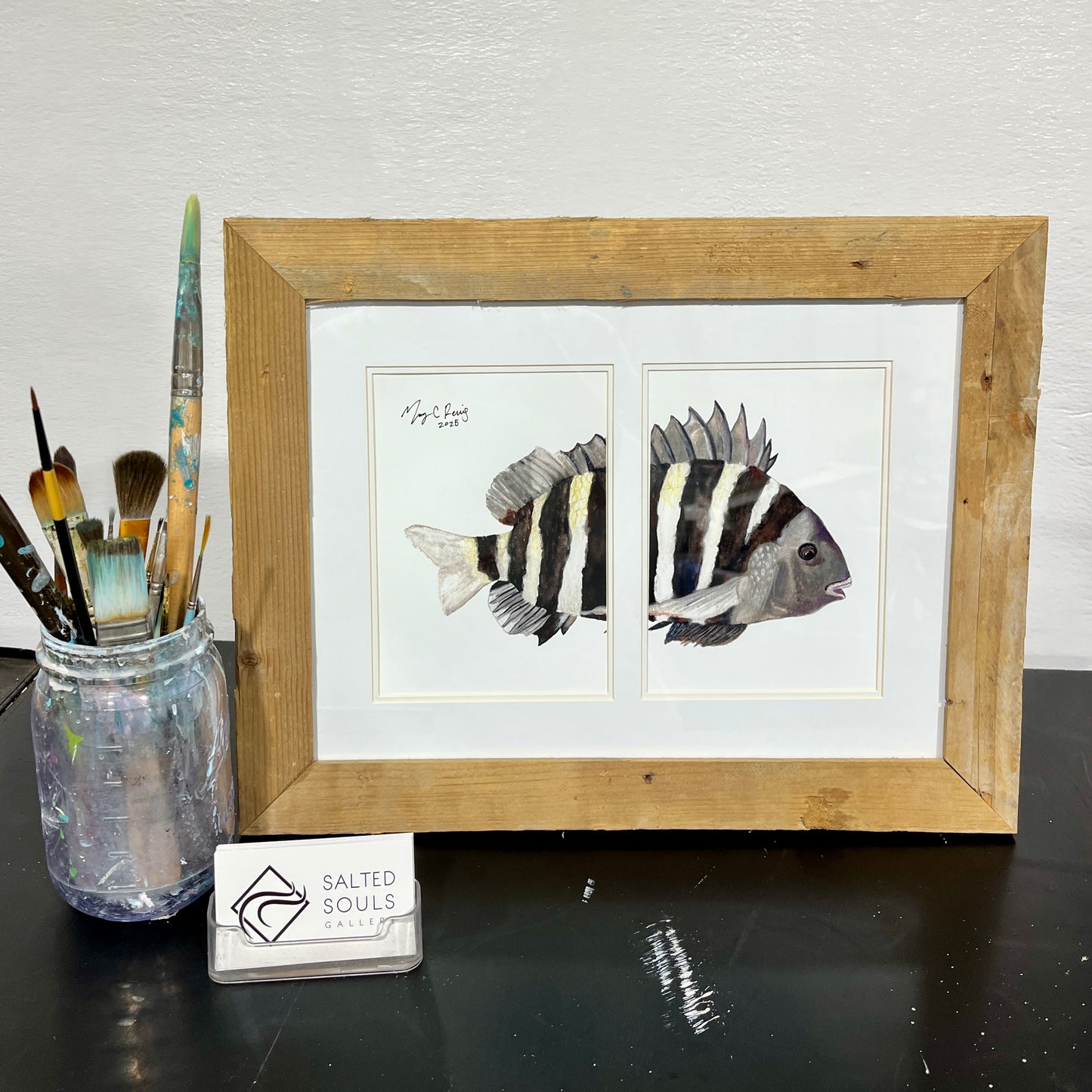 “Split Sheepshead” 12x16 Driftwood framed watercolor print