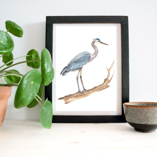 "Savannah Blue Heron" Watercolor Print by Macey Cliatt Rewis