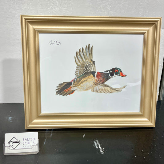 “Incoming wood duck” Gold Framed 11x14 watercolor print