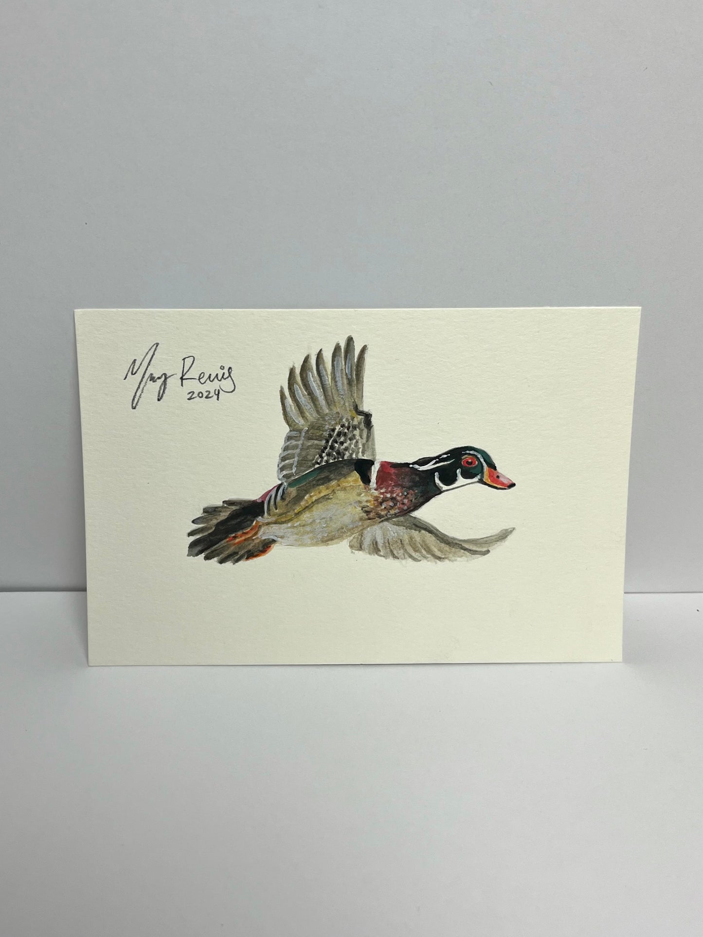 "Incoming Wood Duck” Original Watercolor Painting by Macey C. Rewis