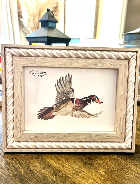 “Incoming Wood Duck” Framed 5 x7 Print
