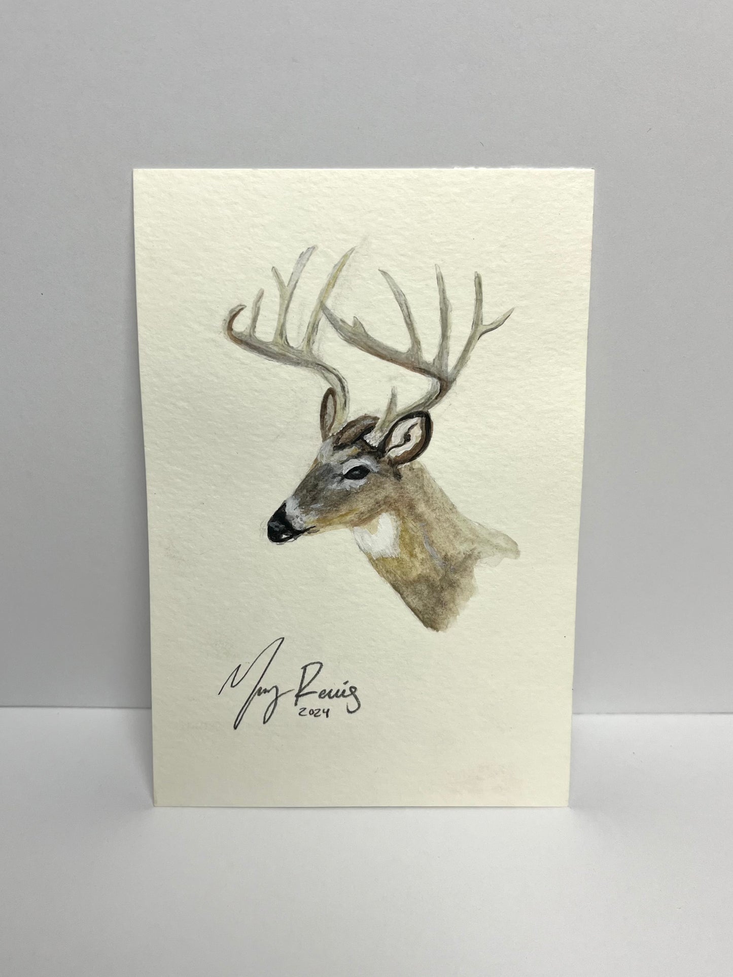 "Southern Buck” Original Watercolor Painting by Macey C. Rewis