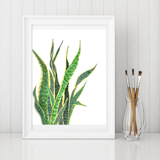 "Savannah Snake Plant" Watercolor Print by Macey Rewis