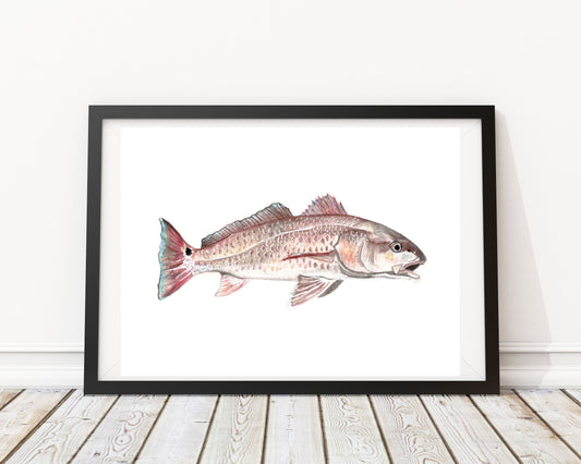 "Keeper" Watercolor Red Fish Print by Macey Cliatt Rewis