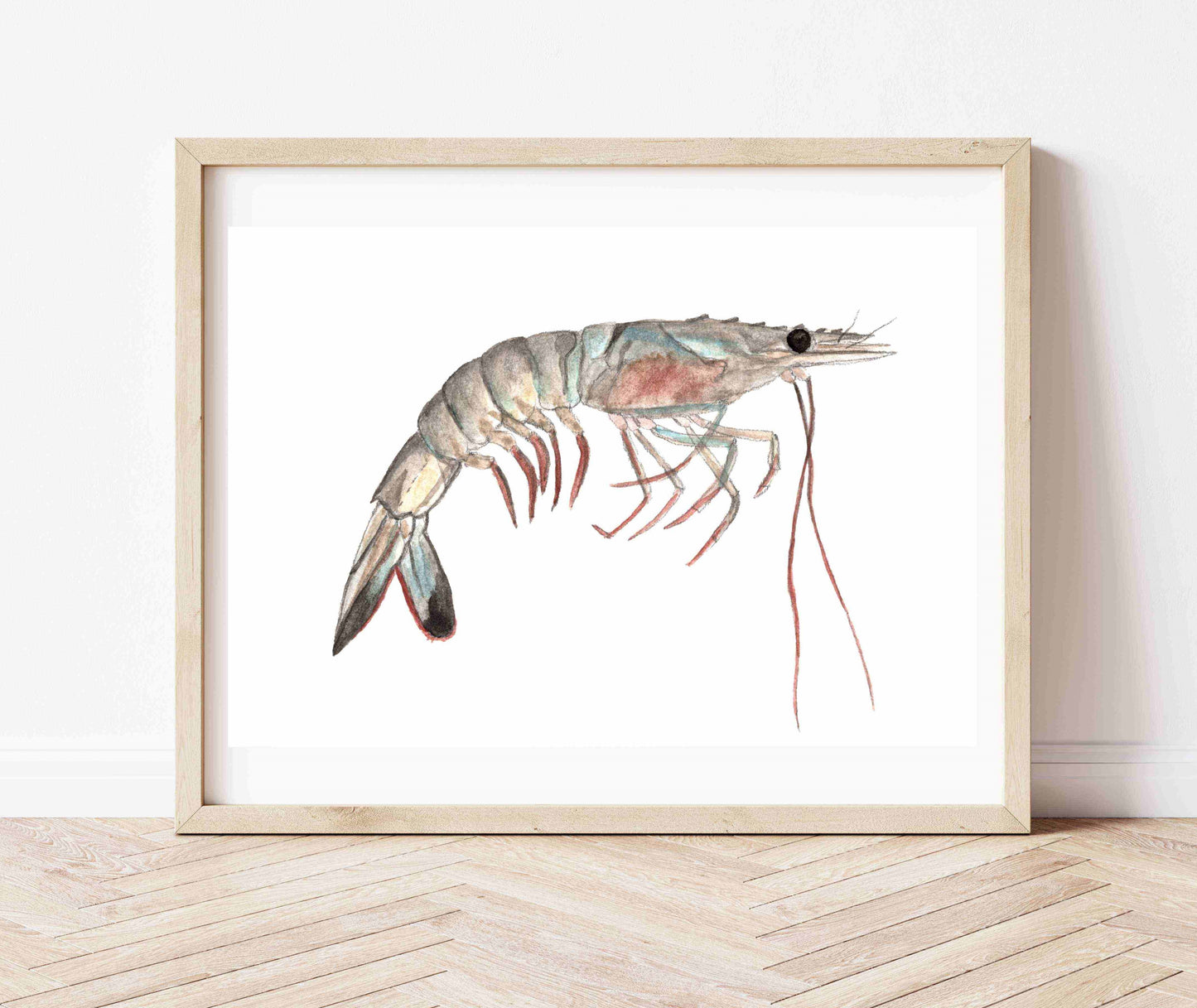 "Savannah Shrimp" Watercolor Print by Macey Cliatt Rewis