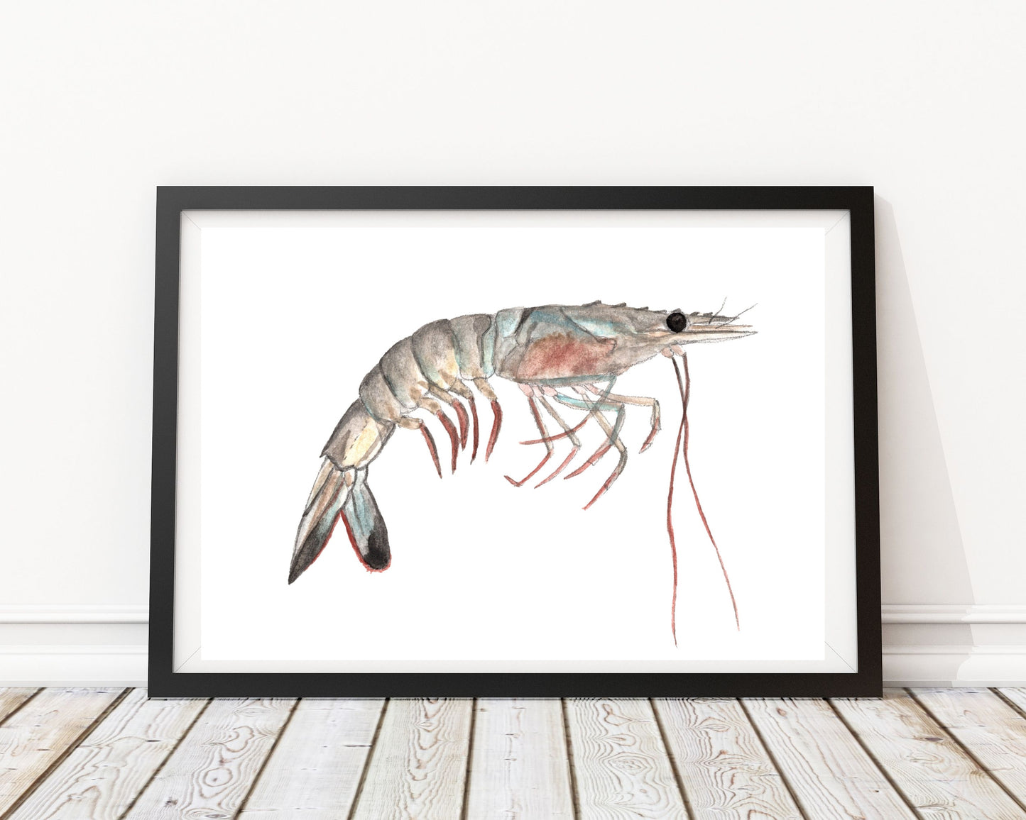 "Savannah Shrimp" Watercolor Print by Macey Cliatt Rewis