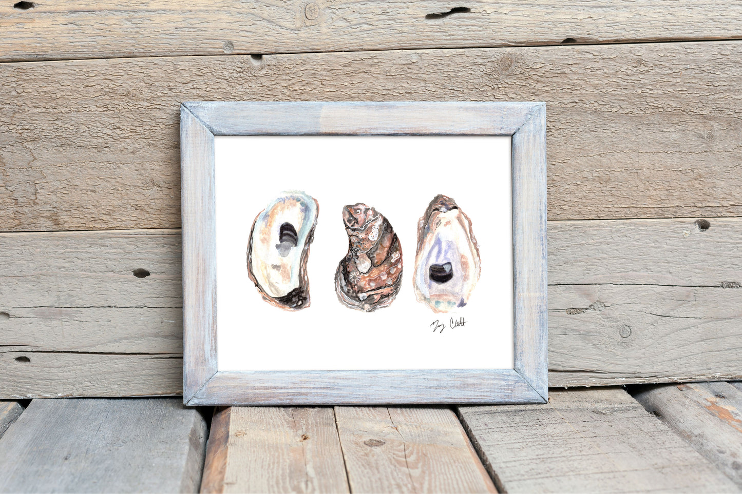 "3 Oysters" Watercolor Print by Macey Cliatt Rewis