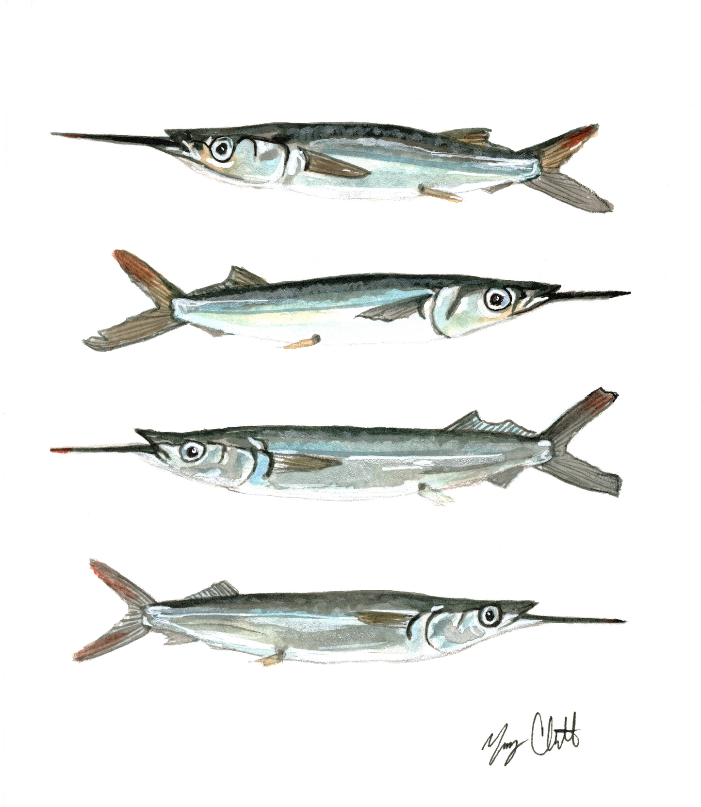 "Ballyhoo Bait" Watercolor Print by Macey Cliatt Rewis