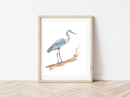 "Savannah Blue Heron" Watercolor Print by Macey Cliatt Rewis