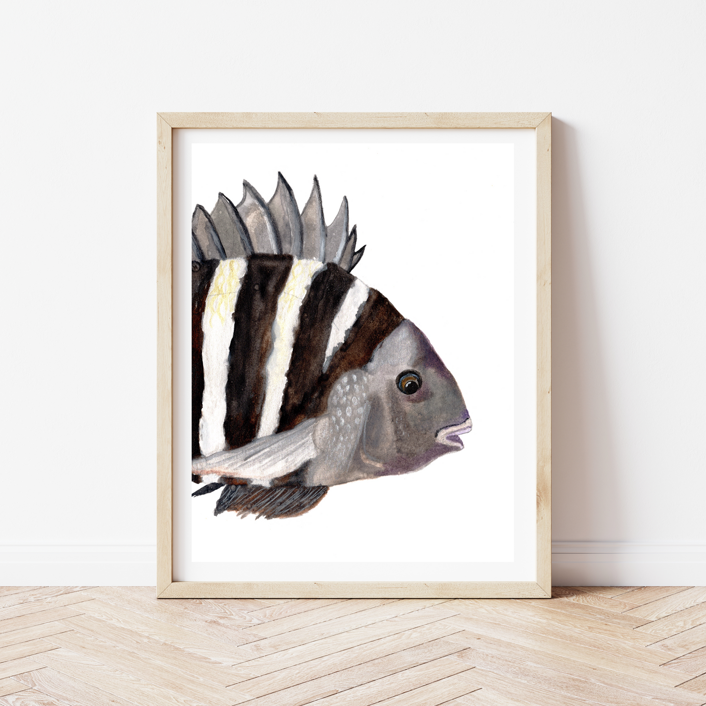 "Split Sheepshead” Set of Two (Split Frame) Watercolor Print by Macey Cliatt Rewis