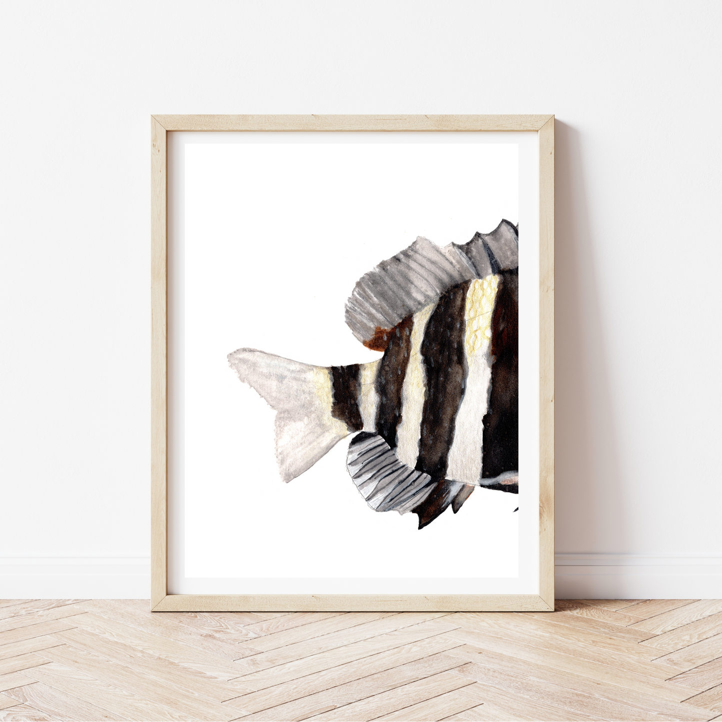 "Split Sheepshead” Set of Two (Split Frame) Watercolor Print by Macey Cliatt Rewis