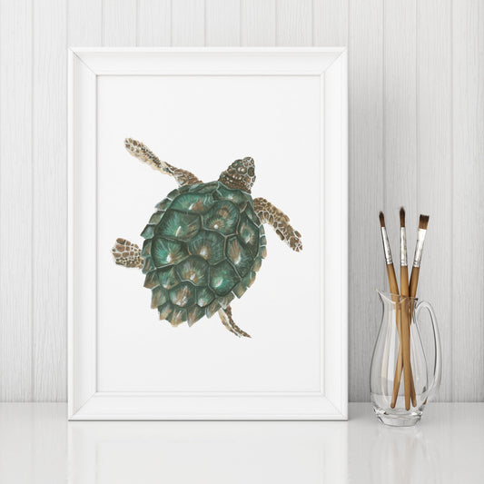 "Tybee Turtle" Watercolor Print by Macey Cliatt