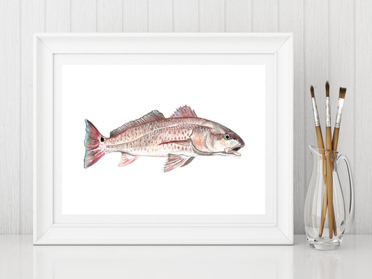 "Keeper" Watercolor Red Fish Print by Macey Cliatt Rewis