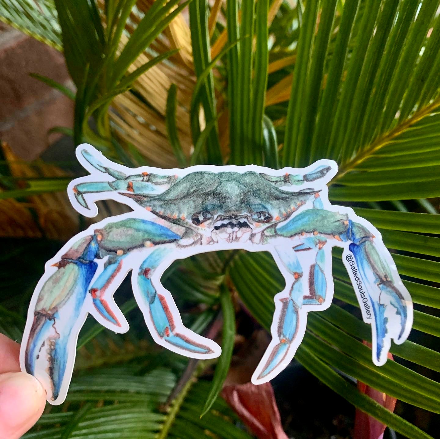 Watercolor Blue Crab Sticker, Accessories