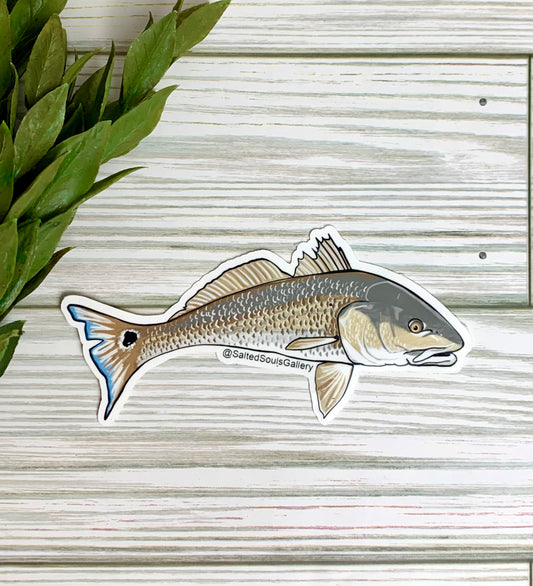 Spot Tail Bass Fish Sticker, Accessories