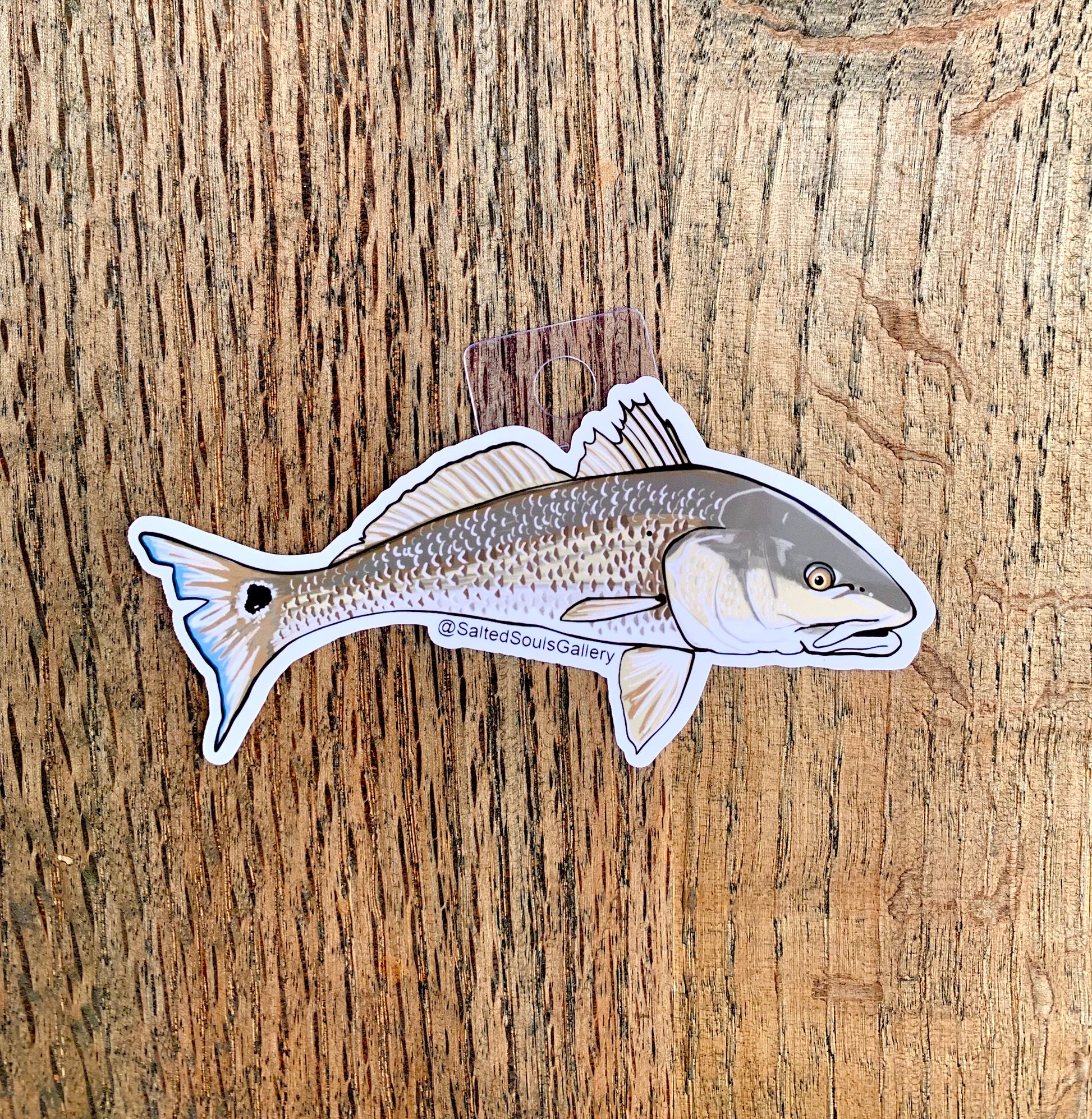 Spot Tail Bass Fish Sticker, Accessories – Salted Souls Gallery