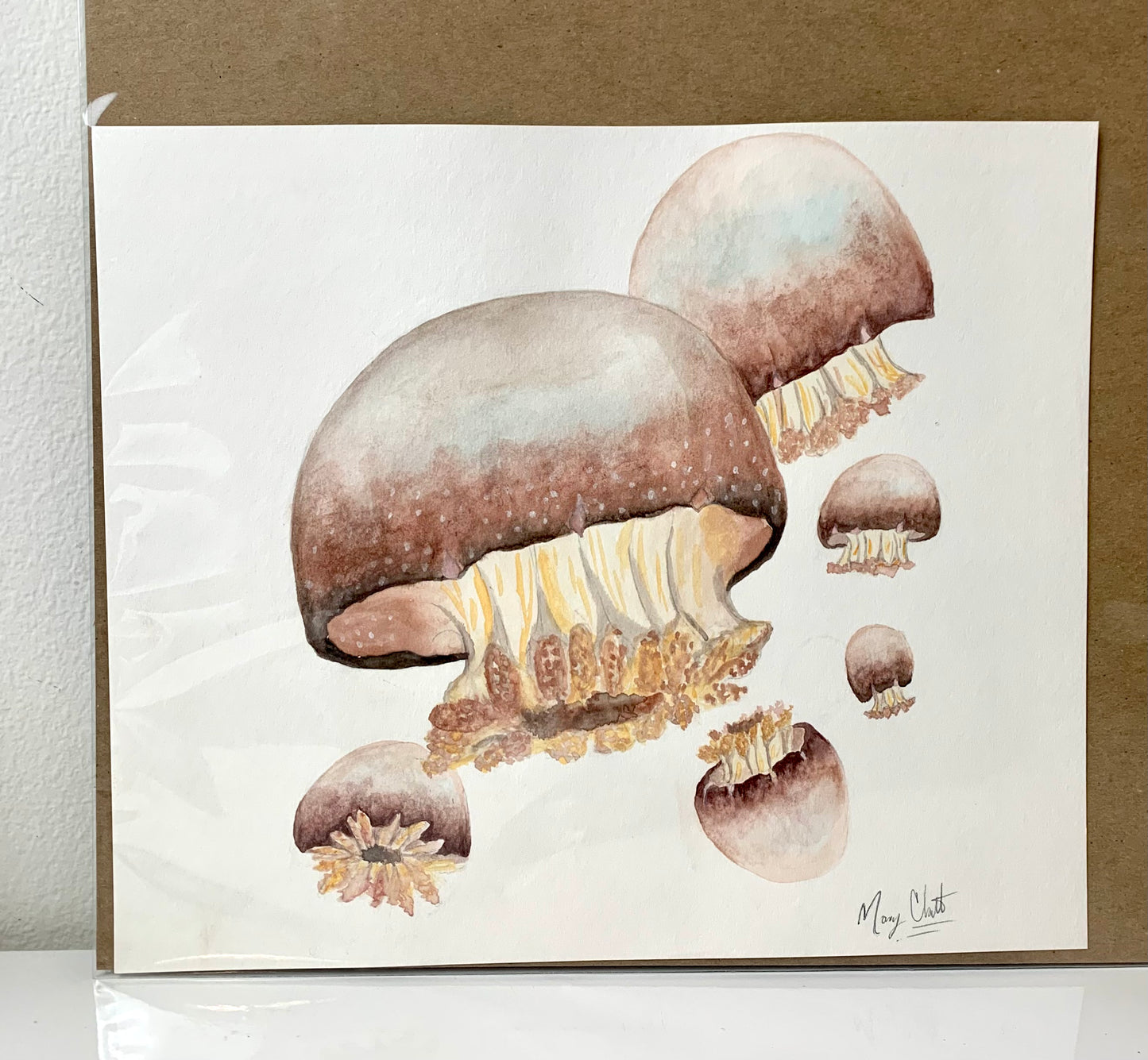 “Savannah Bombshell Jelly” Original Watercolor Painting by Macey Cliatt