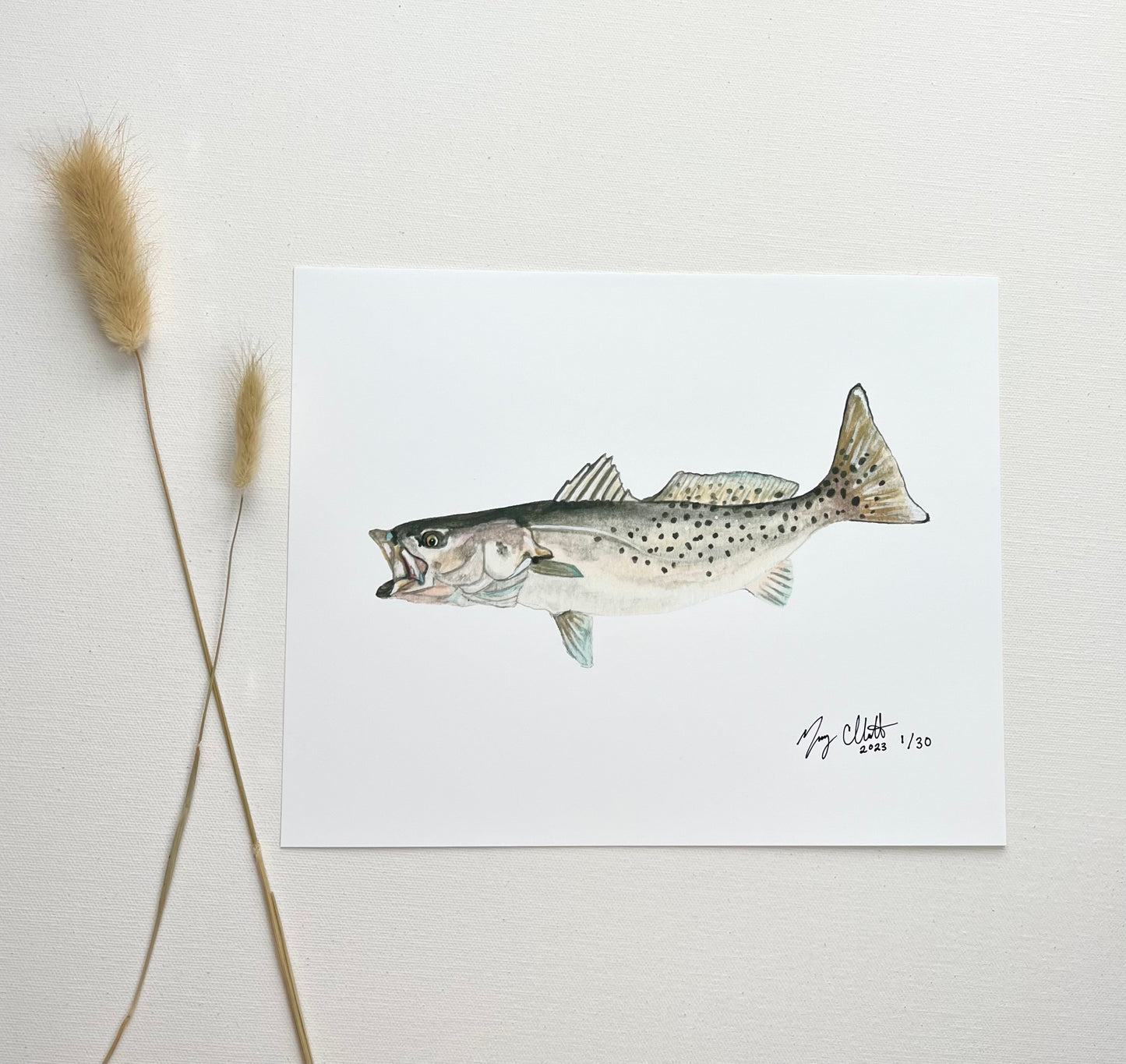 Limited Edition "Winter Trout" Watercolor Print by Macey Cliatt