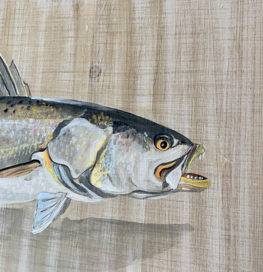 ” Speckled Trout” Original acrylic Painting by Macey Cliatt