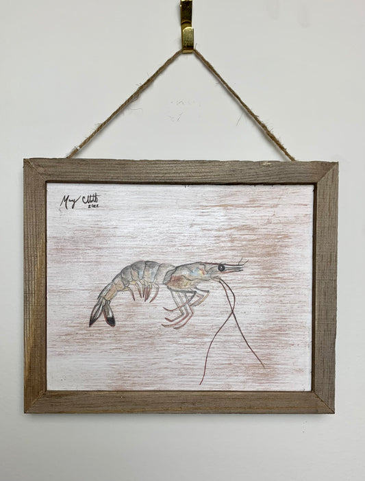 “Live Georgia Shrimp” Original Watercolor & Graphite Painting by Macey Cliatt