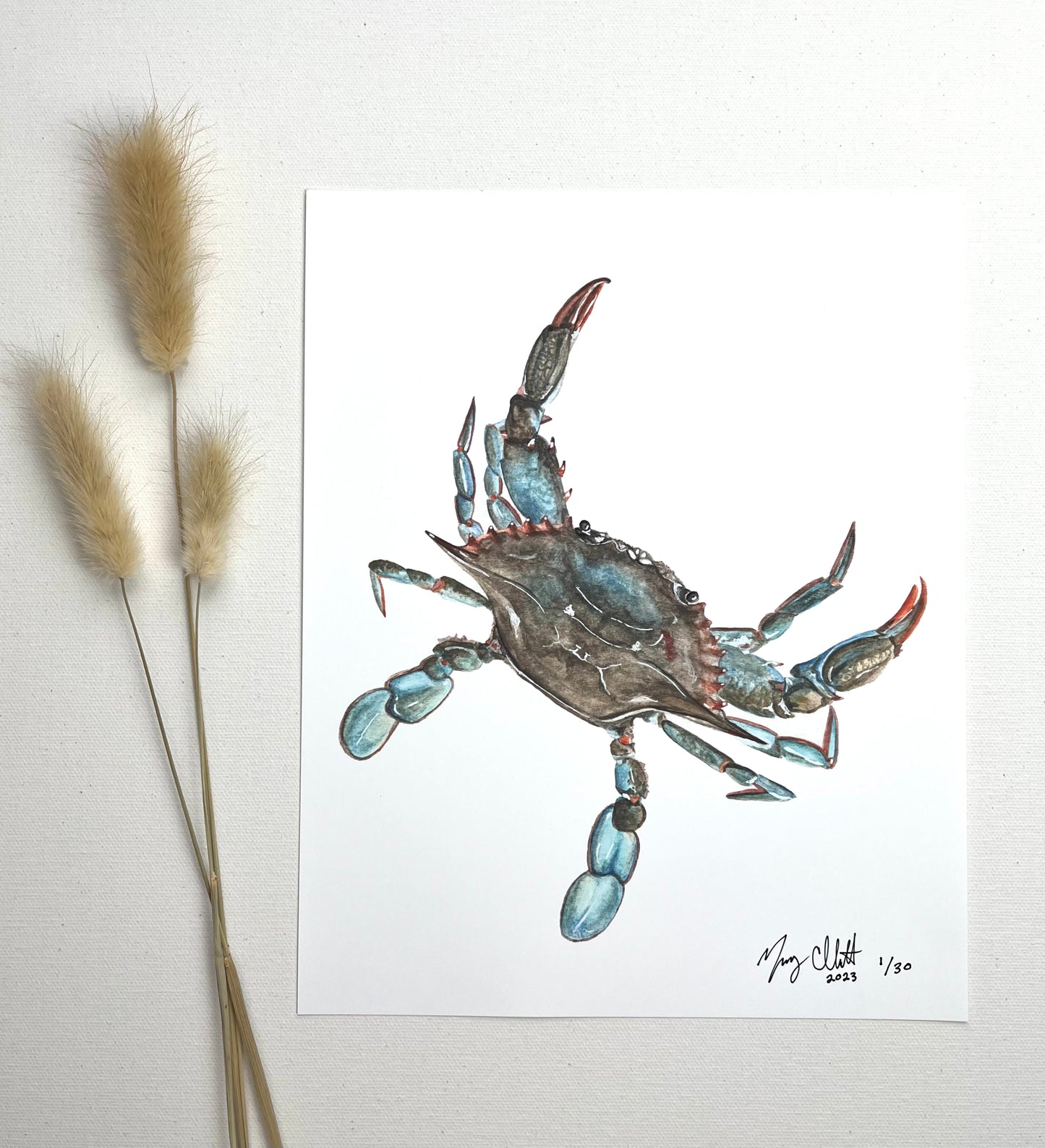 Limited Edition "Cool in Blue" Watercolor Blue Crab Print by Macey Cliatt